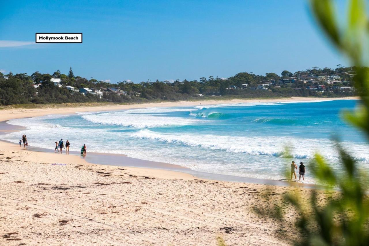 Family Friendly On Treetops Villa Mollymook Exterior photo